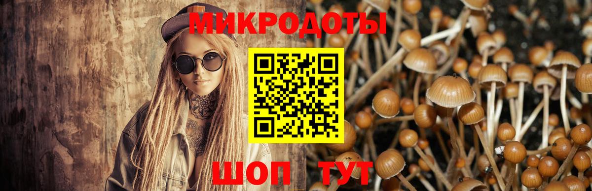Псилоцибиновые грибы Psilocybine cubensis Ханты-Мансийск