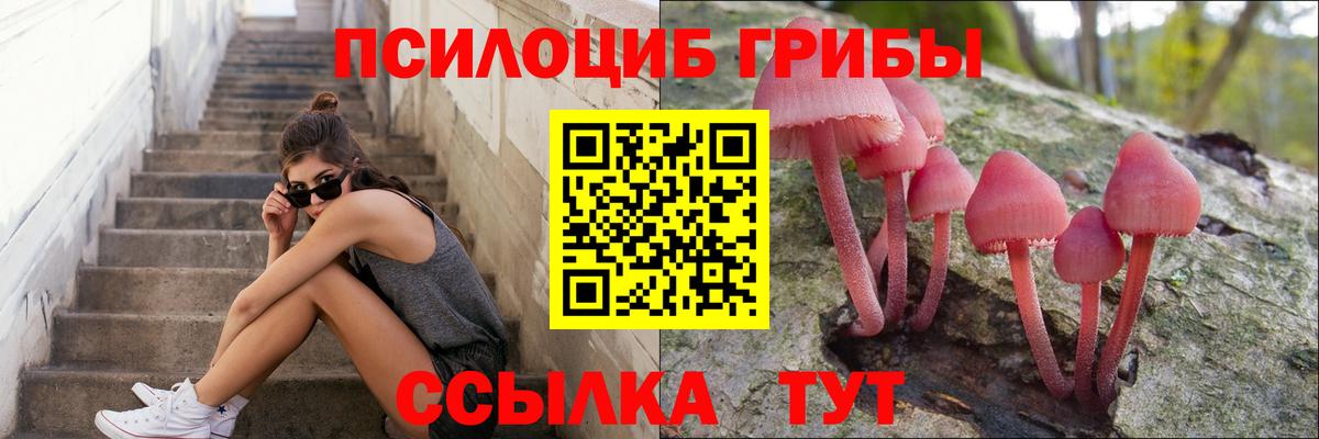 Ханты-Мансийск  Галлюциногенные грибы MAGIC MUSHROOMS  Вход с VPN  Галлюциногенные грибы GOLDEN TEACHER 